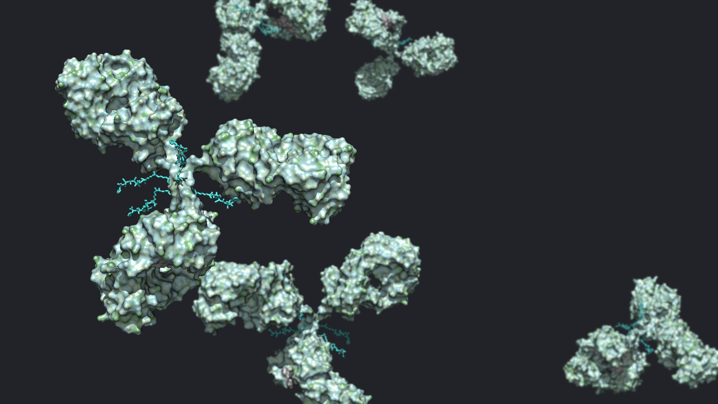 High-complexity in vitro models for the toxicity assessment of antibody-drug conjugates