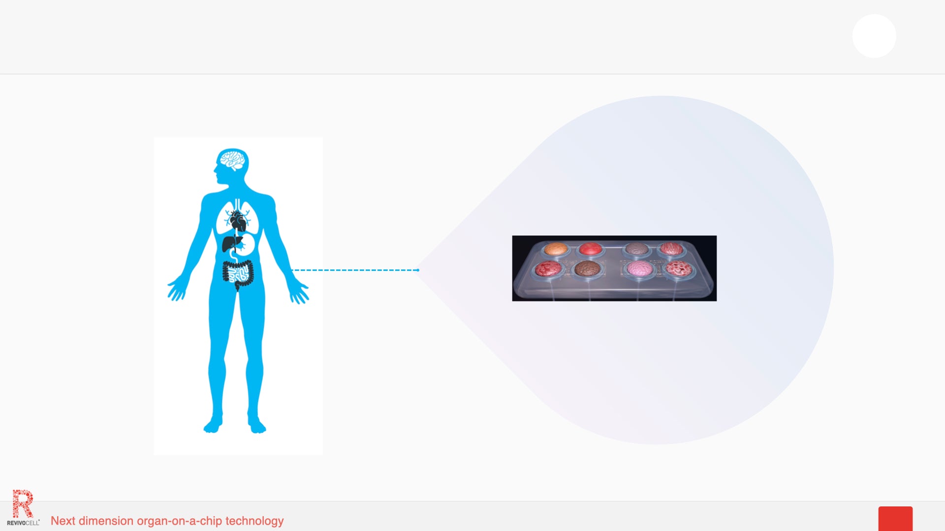 5 tips for making your own complex in vitro model