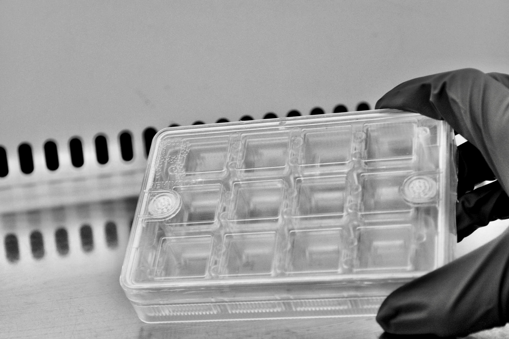 organ-on-a chip alternative cell culture